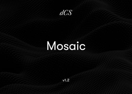dCS-Mosaic-Images-1-(1).jpg
