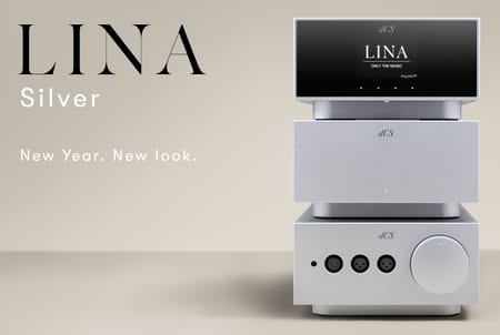 Meet Lina Silver
